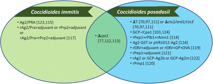 A Review of <i>Coccidioides</i> Research, Outstanding Questions in the Field, and Contributions by Women Scientists.