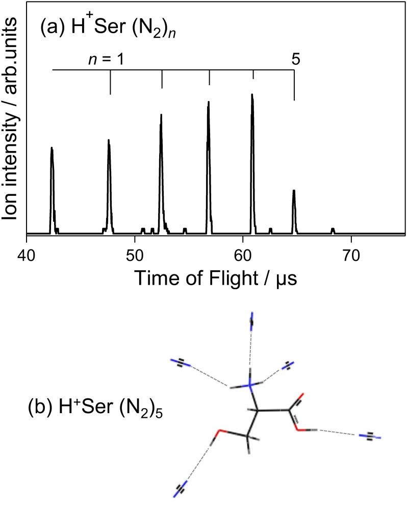 Gas-Phase Adsorption of N<sub>2</sub> on Protonated Molecules and Its Application to the Structural Elucidation of Small Molecules.