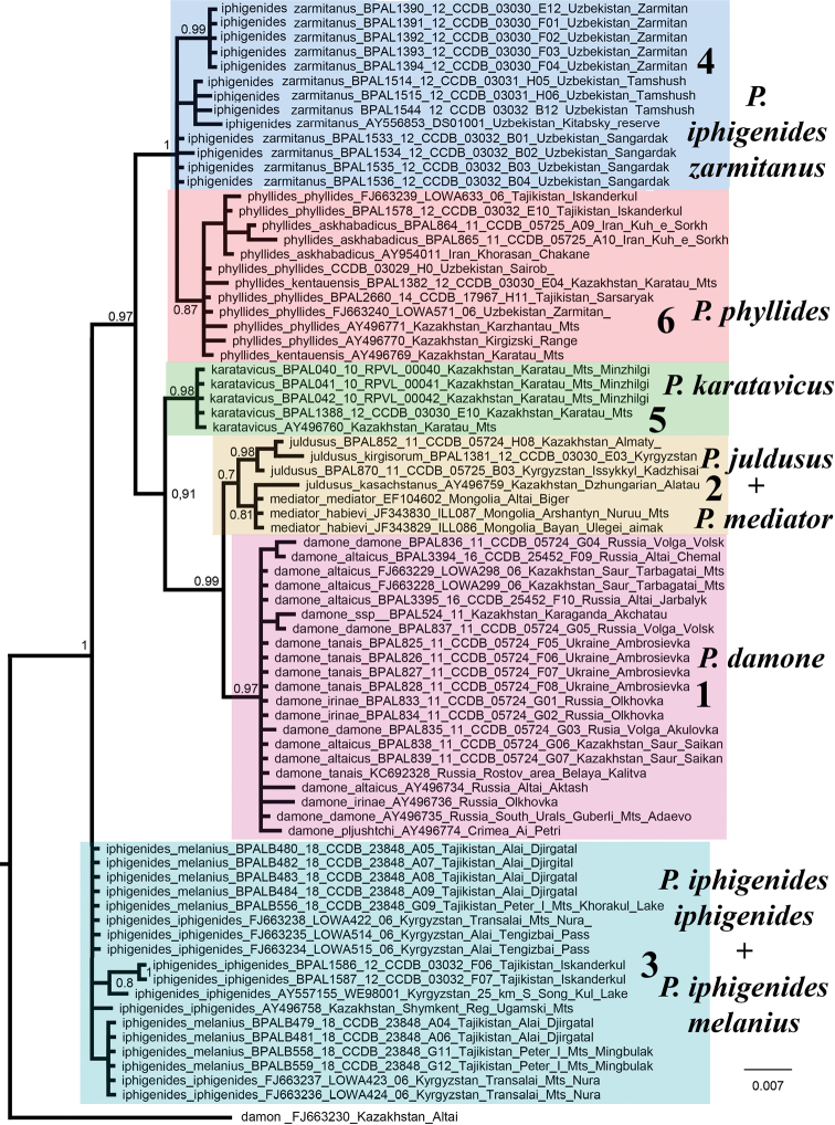 Chromosomal and DNA barcode analysis of the <i>Polyommatus</i> (<i>Agrodiaetus</i>) <i>damone</i> (Eversmann, 1841) species complex (Lepidoptera, Lycaenidae).