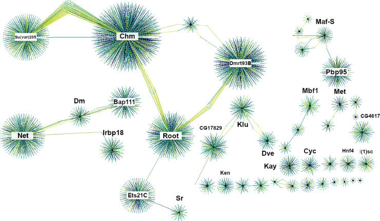 Capturing the transcription factor interactome in response to sub-lethal insecticide exposure