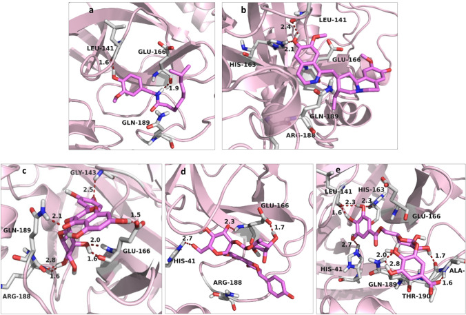 Evaluation of certain medicinal plants compounds as new potential inhibitors of novel corona virus (COVID-19) using molecular docking analysis.