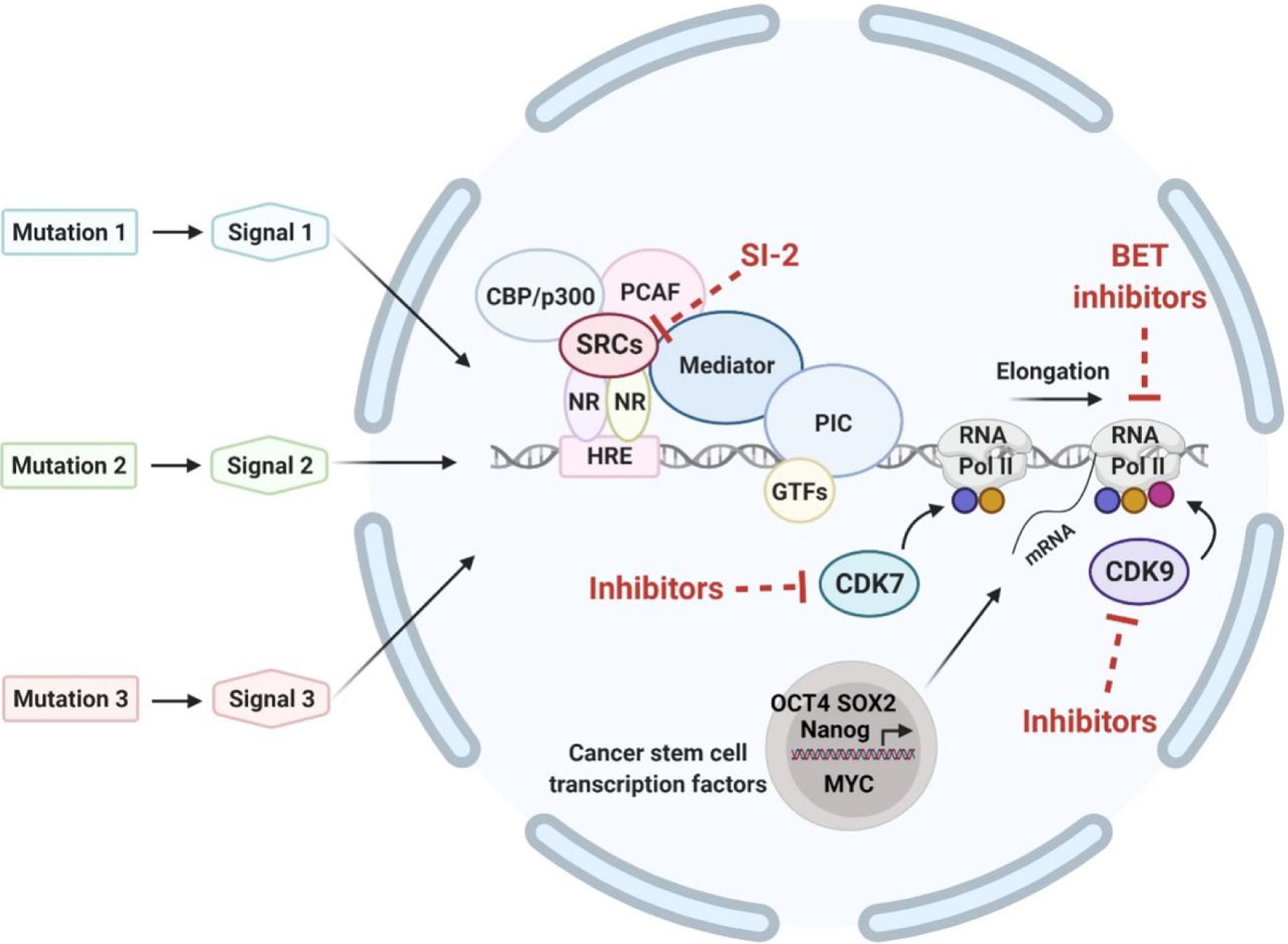 Targeting transcriptional regulators for treatment of anaplastic thyroid cancer.