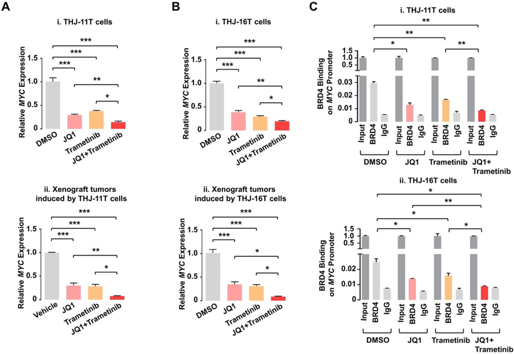 Targeting transcriptional regulators for treatment of anaplastic thyroid cancer.