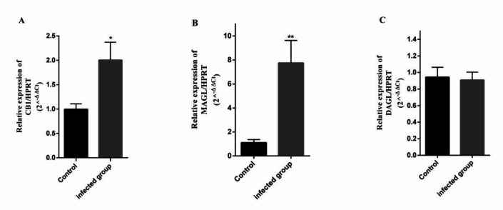 Modulation of mRNA Expression of Monoacylglycerol Lipase, Diacylglycerol Lipase and Cannabinoid Receptor-1 in Mice Experimentally Infected with <i>T. gondii</i>.