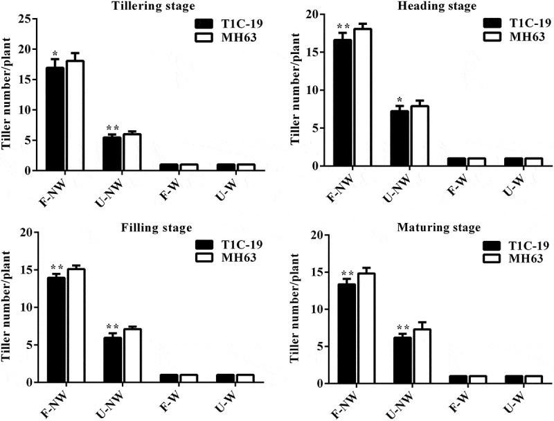 Fitness of Insect-resistant transgenic rice T1C-19 under four growing conditions combining land use and weed competition.