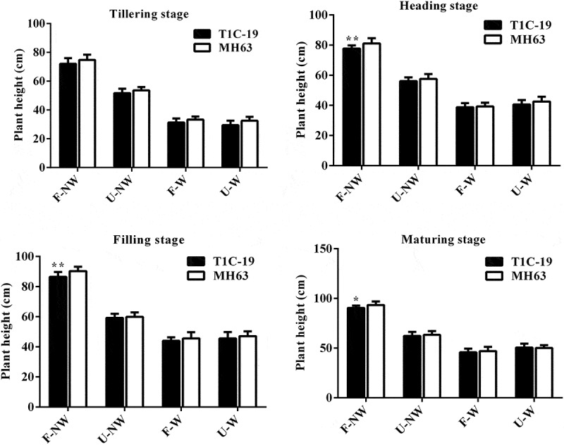 Fitness of Insect-resistant transgenic rice T1C-19 under four growing conditions combining land use and weed competition.