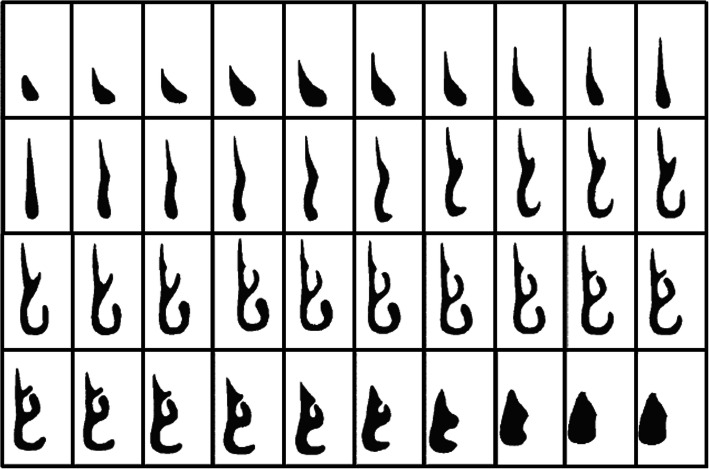 A numerical simulation of air flow in the human respiratory system for various environmental conditions.