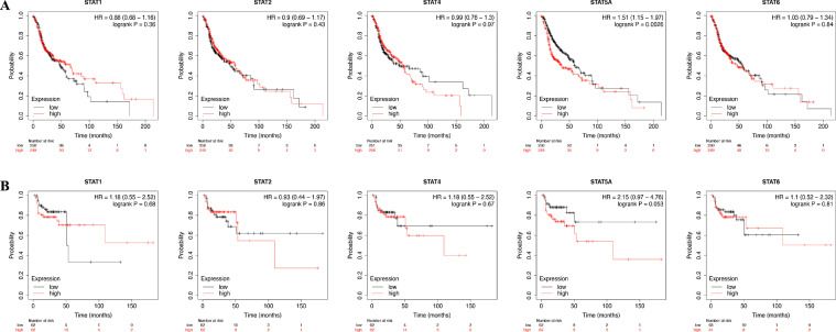 Mining database for the expression and clinical significance of STAT family in head and neck squamous cell carcinomas.