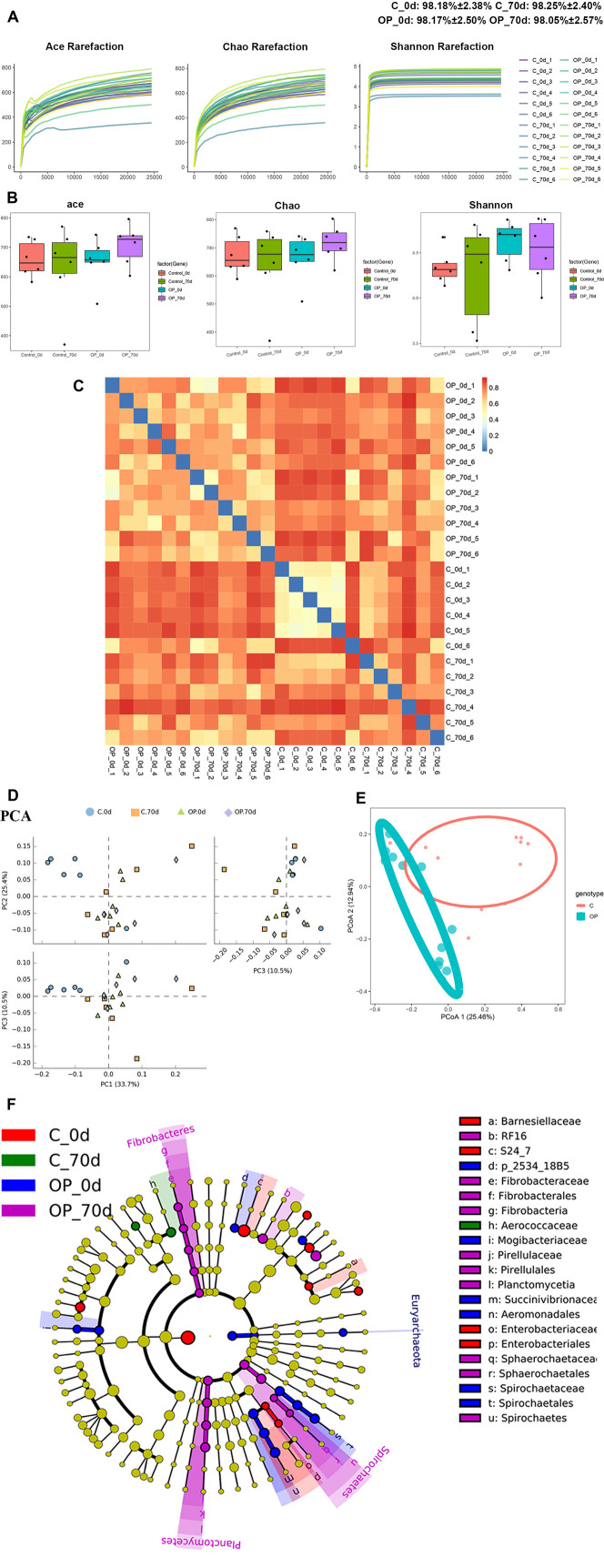 16S rDNA analysis of the intestinal microbes in osteoporotic rats.