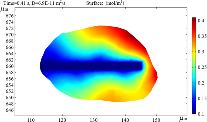 Visual analysis of flow and diffusion of hemolytic agents and hematomas.