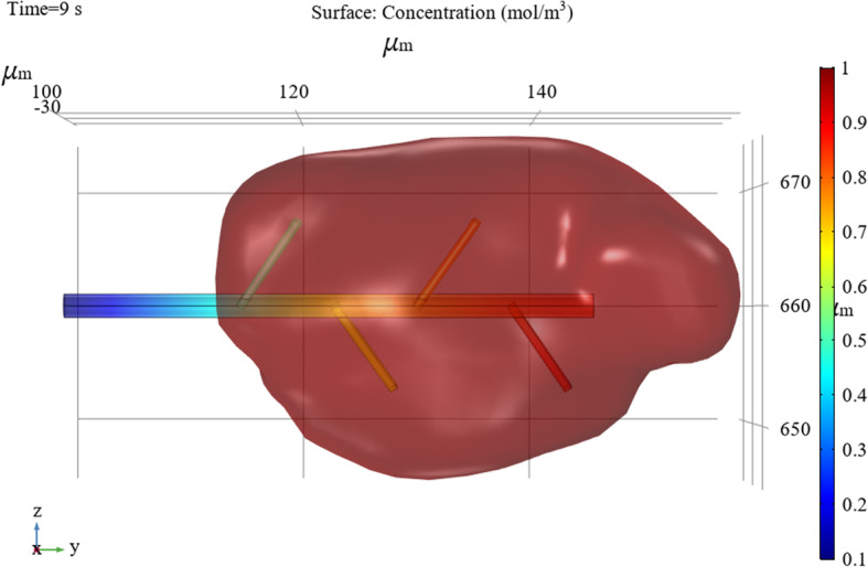 Visual analysis of flow and diffusion of hemolytic agents and hematomas.