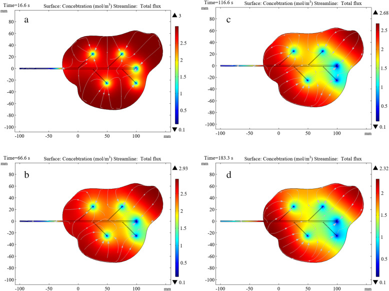 Visual analysis of flow and diffusion of hemolytic agents and hematomas.