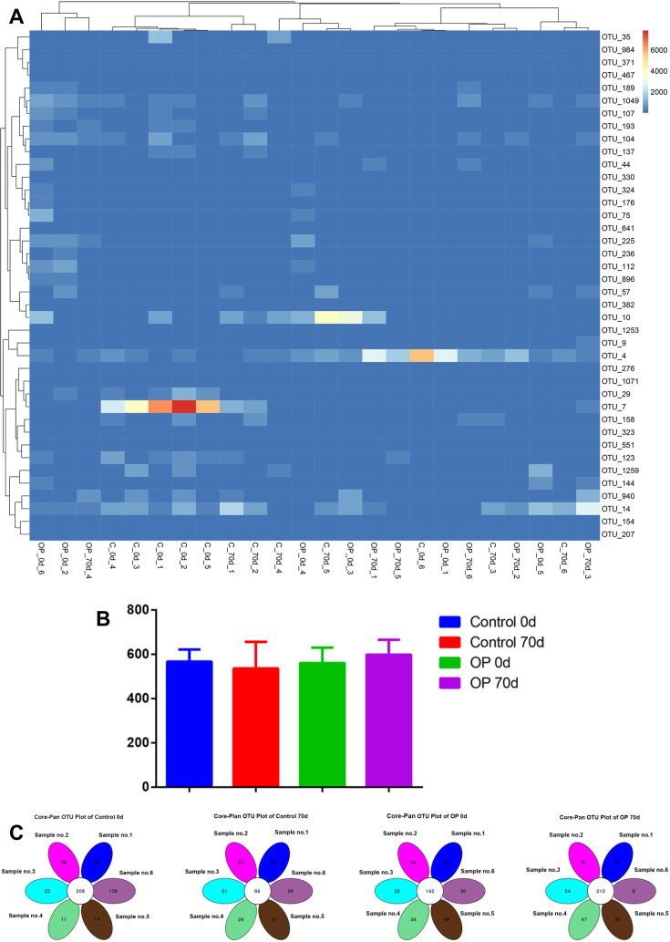 16S rDNA analysis of the intestinal microbes in osteoporotic rats.