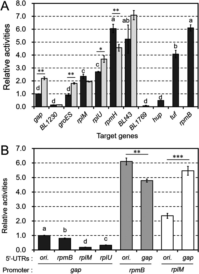 Construction of a reporter system for bifidobacteria using chloramphenicol acetyltransferase and its application for evaluation of promoters and terminators.