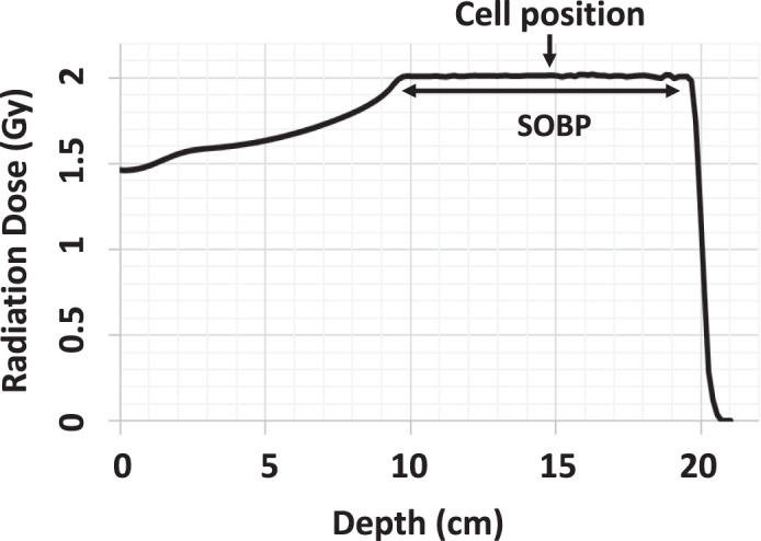 The Biological Basis for Enhanced Effects of Proton Radiation Therapy Relative to Photon Radiation Therapy for Head and Neck Squamous Cell Carcinoma.