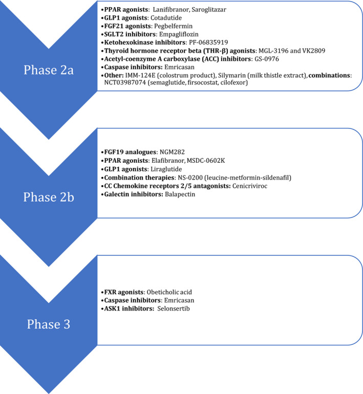 Evolving Role for Pharmacotherapy in NAFLD/NASH.