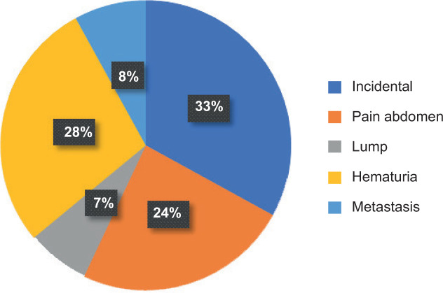 Epidemiology and Clinicopathological Profile of Renal Cell Carcinoma: A Review from Tertiary Care Referral Centre.