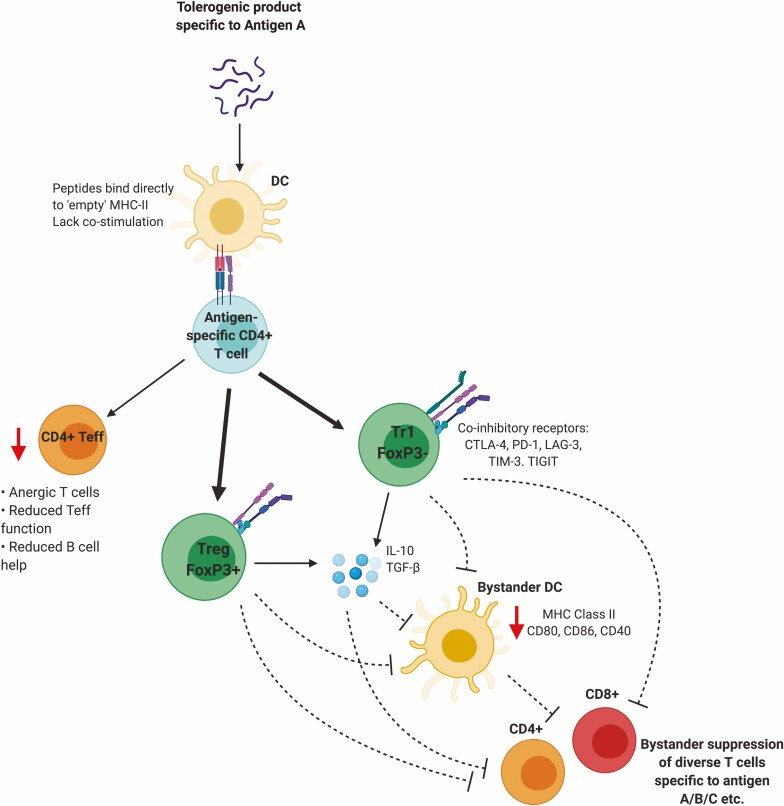 Advancement of antigen-specific immunotherapy: knowledge transfer between allergy and autoimmunity.