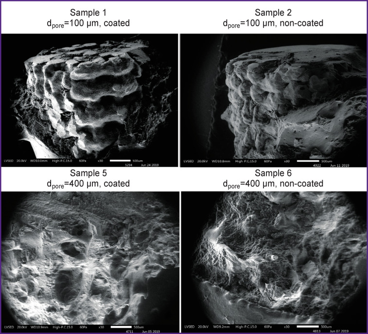 Biocompatibility and Osseointegration of Calcium Phosphate-Coated and Non-Coated Titanium Implants with Various Porosities.