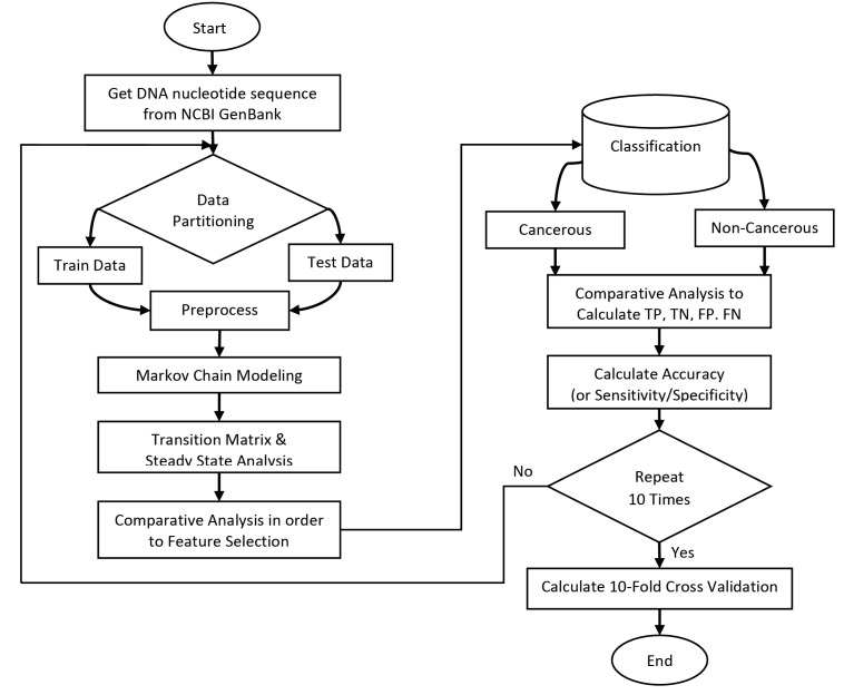 A Markov chain-based feature extraction method for classification and identification of cancerous DNA sequences.