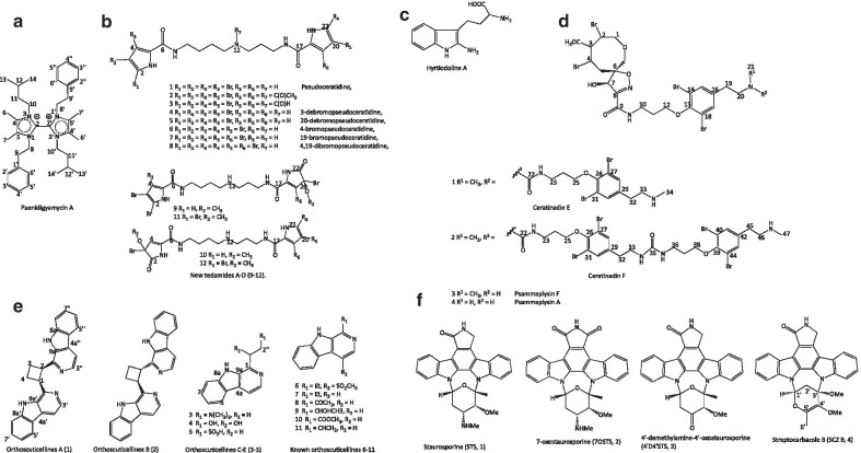 Potentials of marine natural products against malaria, leishmaniasis, and trypanosomiasis parasites: a review of recent articles.