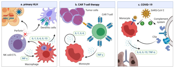 The Many Faces of Cytokine Release Syndrome-Related Coagulopathy.