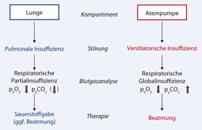 [Pathophysiology, diagnostics and treatment of the respiratory pump].