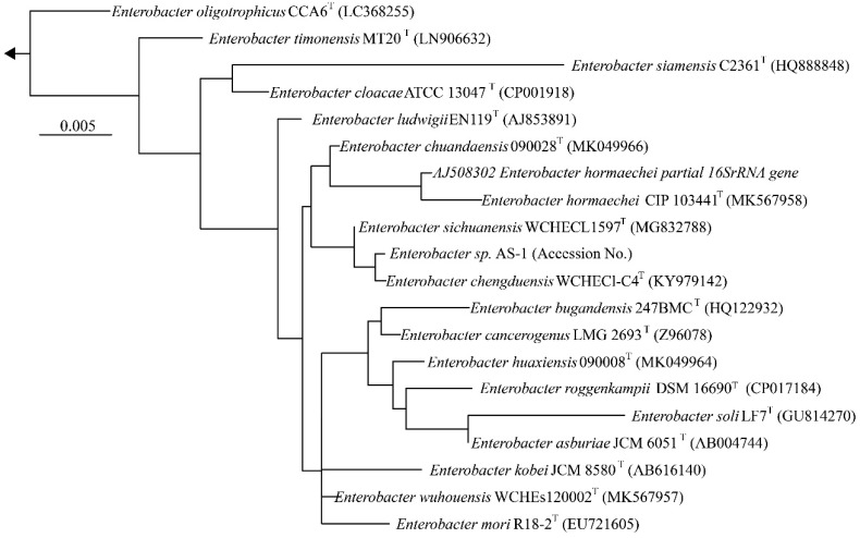 Draft Genome Sequence of <i>Enterobacter</i> sp. AS-1, a Potential Eurytrophic Recombination Host.