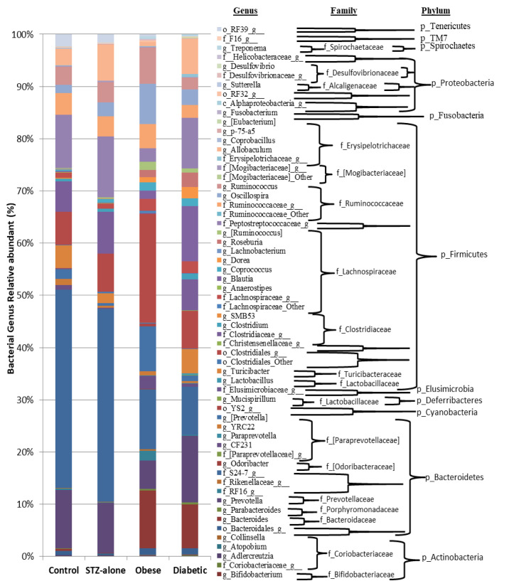 Characterisation of gut microbiota of obesity and type 2 diabetes in a rodent model.