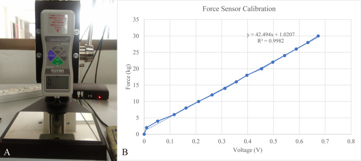 Equine spinal kinematics derived from different riding positions during asymmetrical bareback riding.