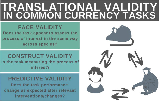 The Importance of Common Currency Tasks in Translational Psychiatry.