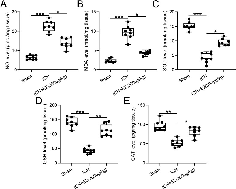 17β-Estradiol Attenuates Intracerebral Hemorrhage-Induced Blood-Brain Barrier Injury and Oxidative Stress Through SRC3-Mediated PI3K/Akt Signaling Pathway in a Mouse Model.