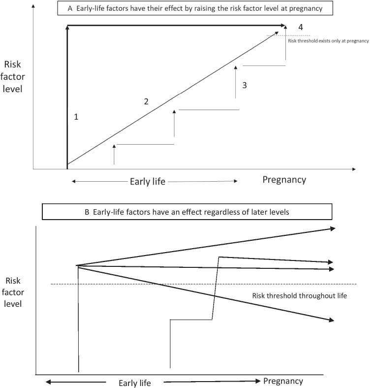 The Impact of Early-Life Exposures on Women's Reproductive Health in Adulthood.