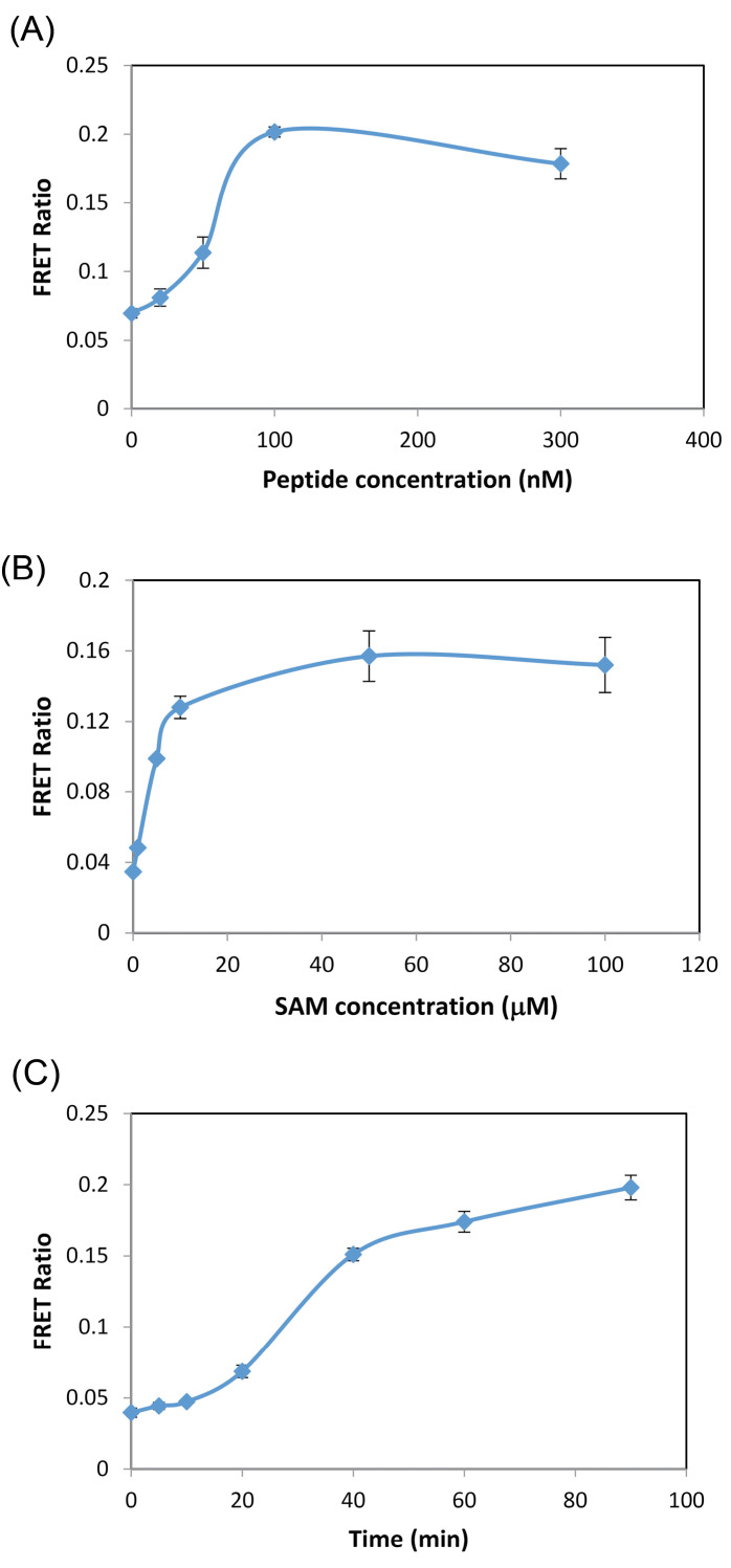 A sensitive homogeneous enzyme assay for euchromatic histone-lysine-N-methyltransferase 2 (G9a) based on terbium-to-quantum dot time-resolved FRET.