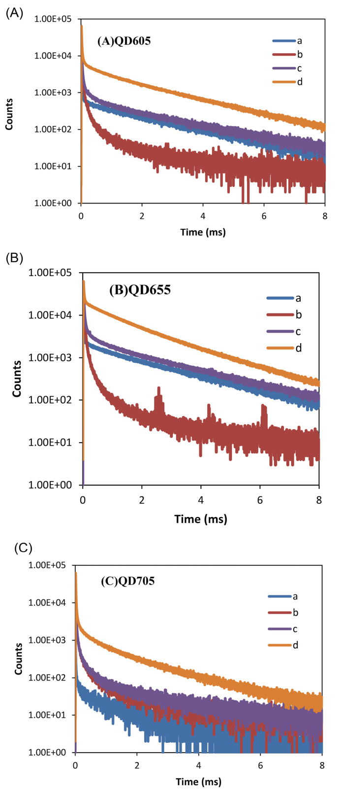 A sensitive homogeneous enzyme assay for euchromatic histone-lysine-N-methyltransferase 2 (G9a) based on terbium-to-quantum dot time-resolved FRET.