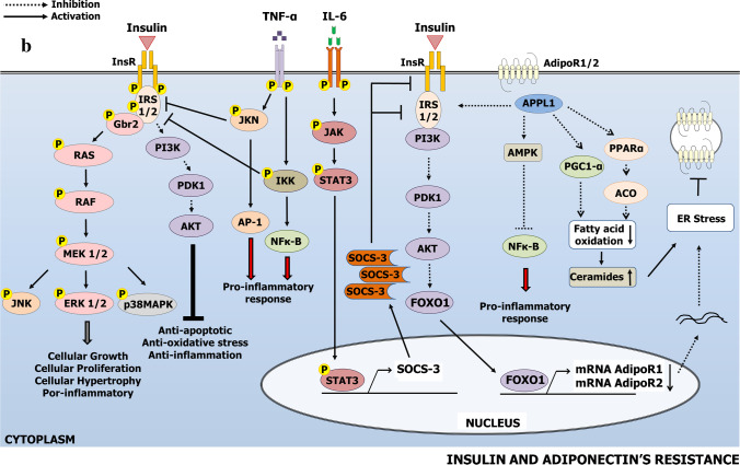 What Are the Clinical and Systemic Results of Periodontitis Treatment in Obese Individuals?