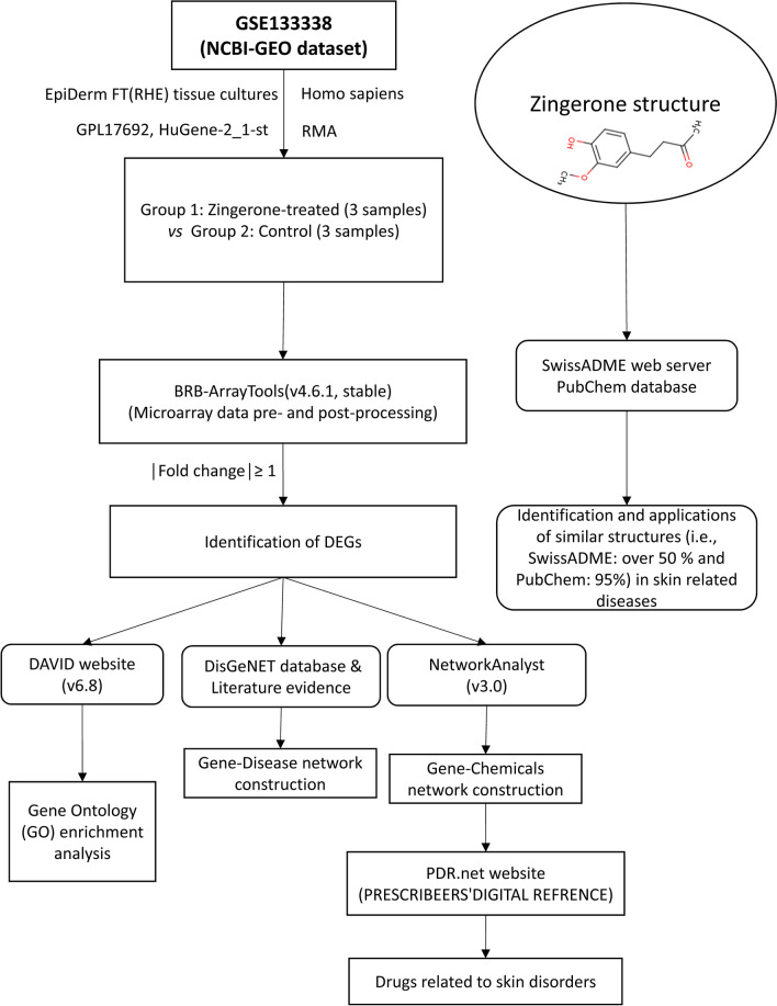 A hybrid systems biology and systems pharmacology investigation of Zingerone's effects on reconstructed human epidermal tissues.