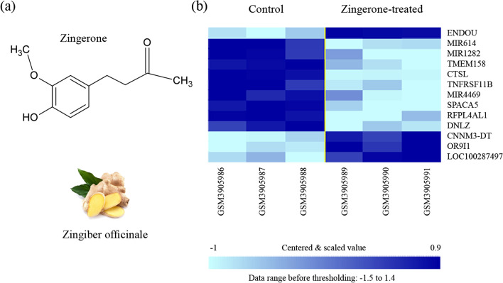 A hybrid systems biology and systems pharmacology investigation of Zingerone's effects on reconstructed human epidermal tissues.