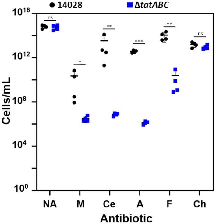 Twin-arginine translocation (Tat) mutants in <i>Salmonella enterica</i> serovar Typhimurium have increased susceptibility to cell wall targeting antibiotics.