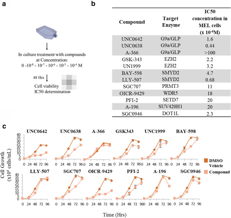 The histone methyltransferase inhibitor A-366 enhances hemoglobin expression in erythroleukemia cells upon co-exposure with chemical inducers in culture.