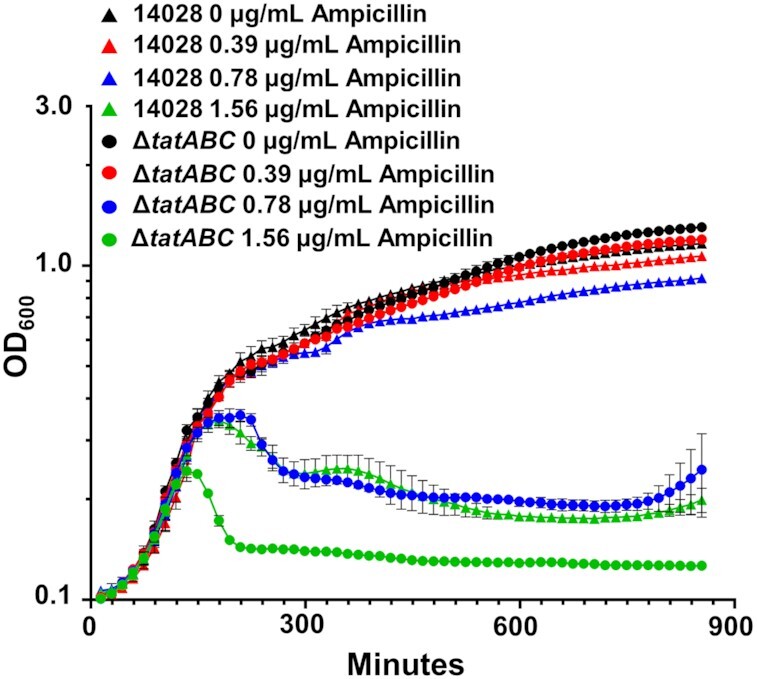 Twin-arginine translocation (Tat) mutants in <i>Salmonella enterica</i> serovar Typhimurium have increased susceptibility to cell wall targeting antibiotics.