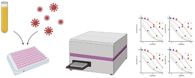 The role of pseudotype neutralization assays in understanding SARS CoV-2.