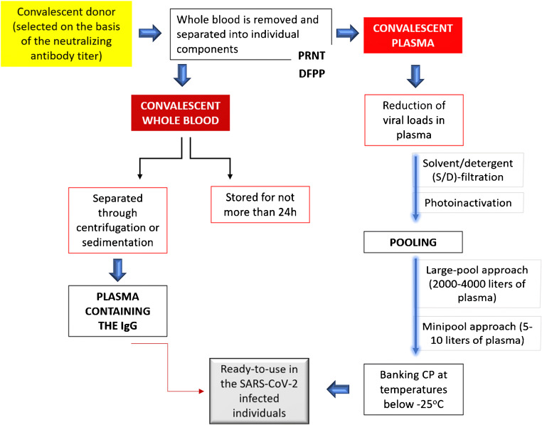 COVID-19 Pandemic and the Convalescent Plasma Therapy: Possible Benefits and Risks.