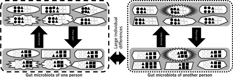 The importance of genetic research on the dominant species of human intestinal indigenous microbiota.