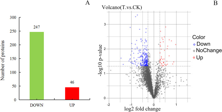 ITRAQ-based quantitative proteomic analysis of Fusarium moniliforme (Fusarium verticillioides) in response to Phloridzin inducers.