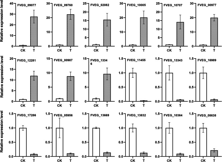 ITRAQ-based quantitative proteomic analysis of Fusarium moniliforme (Fusarium verticillioides) in response to Phloridzin inducers.