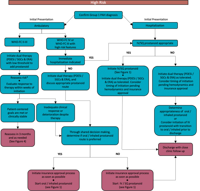 Management of Pulmonary Arterial Hypertension.