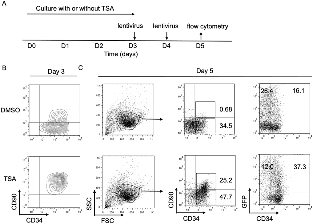 The Interplay between Transcription Factor SALL4 and Histone Modifiers in Hematopoietic Stem and Progenitor Cells.