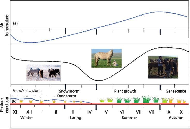 Relationship between lactational performance and metabolic parameters of Mongolian native grazing mares.