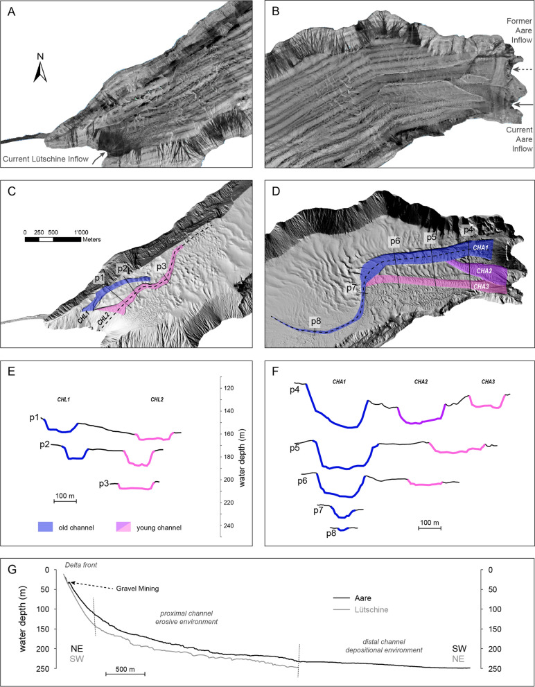 Subaqueous geomorphology and delta dynamics of Lake Brienz (Switzerland): implications for the sediment budget in the alpine realm.